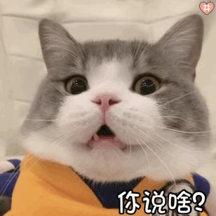 DƬ